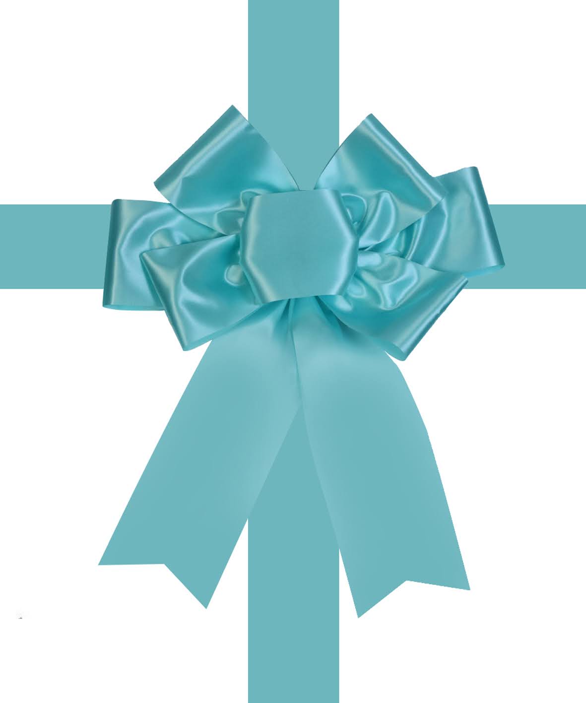 Satin Settlement Door Bow- Baby Blue