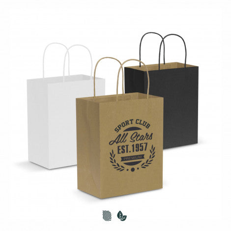 Paper Carry Bag - Medium