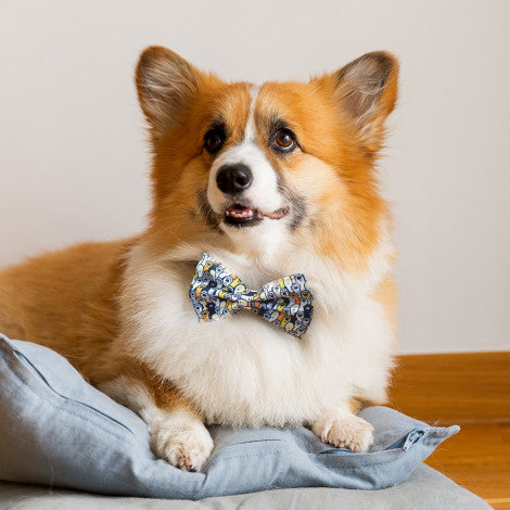 Amigo Pet Bow Tie